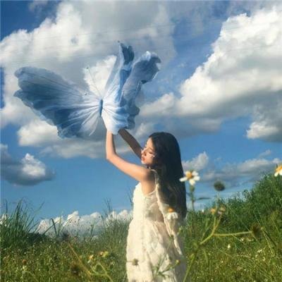秋菊打官司