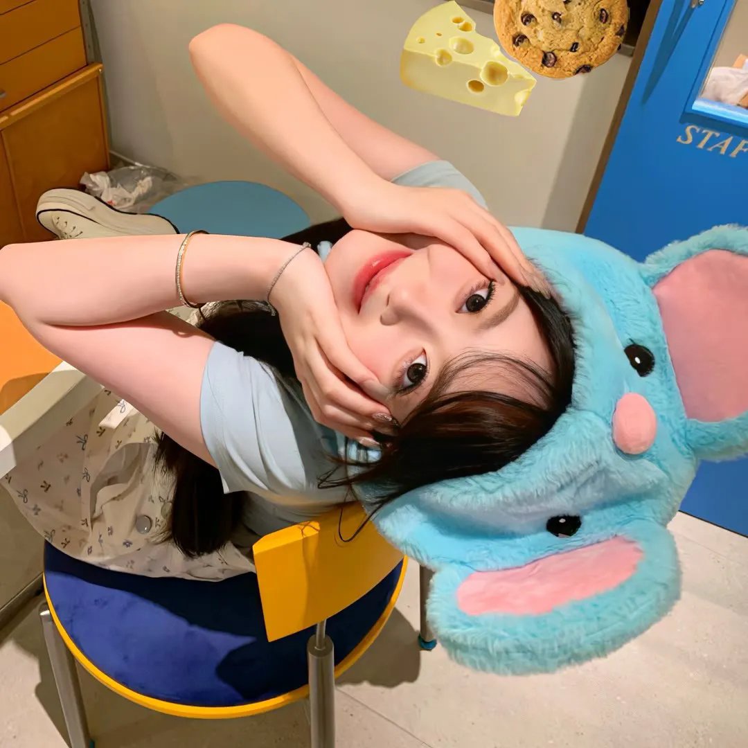 大湾区旅行者